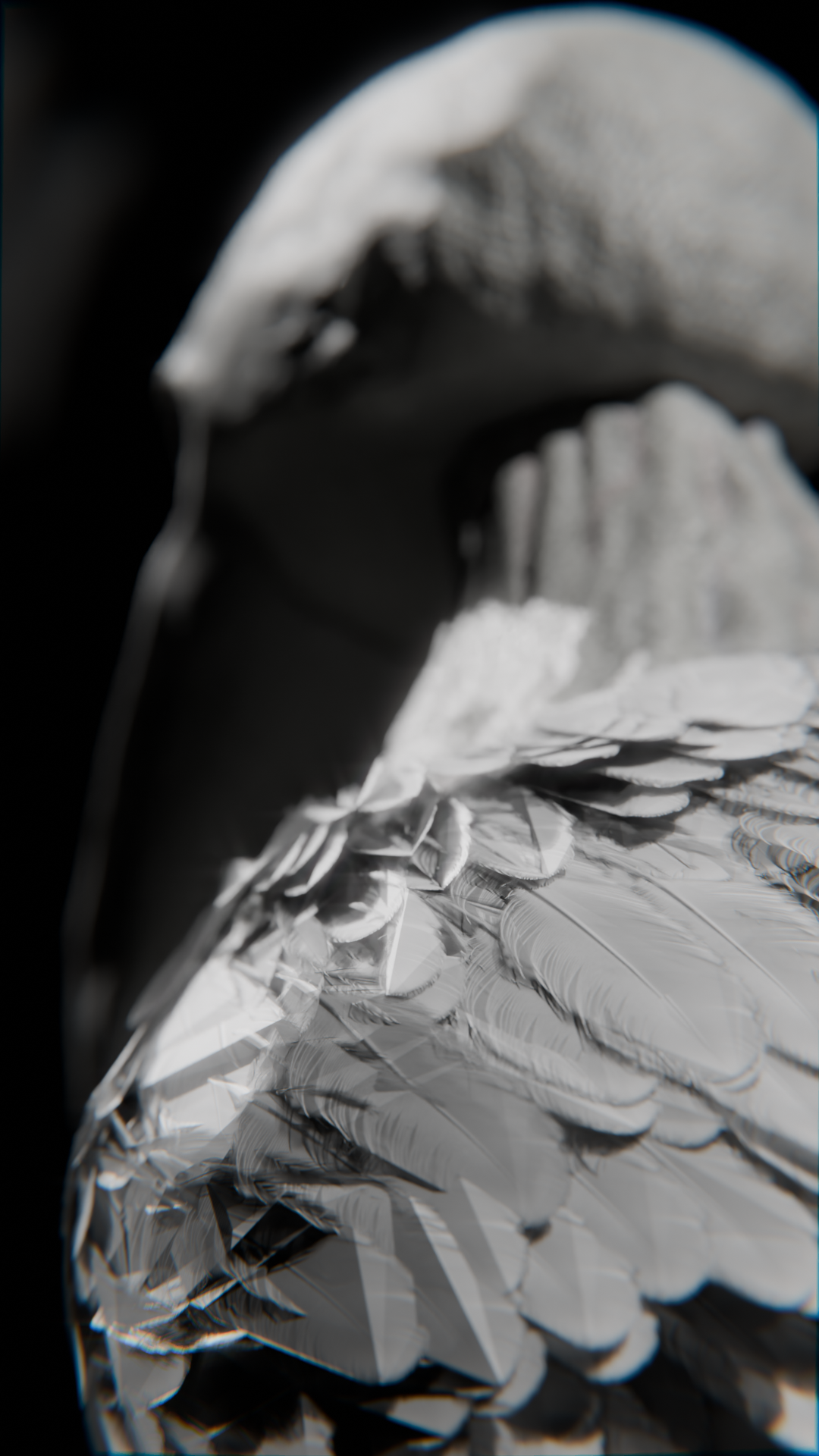 0001.png