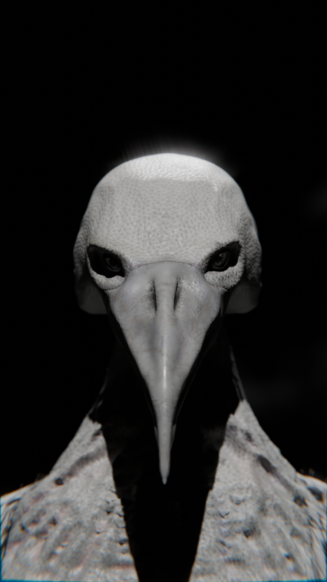 0240.png