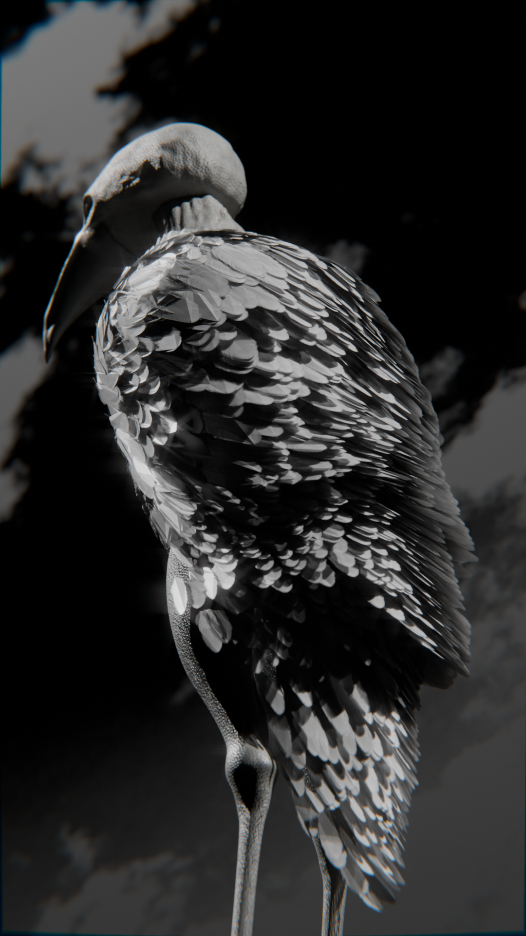 weridbird1.png