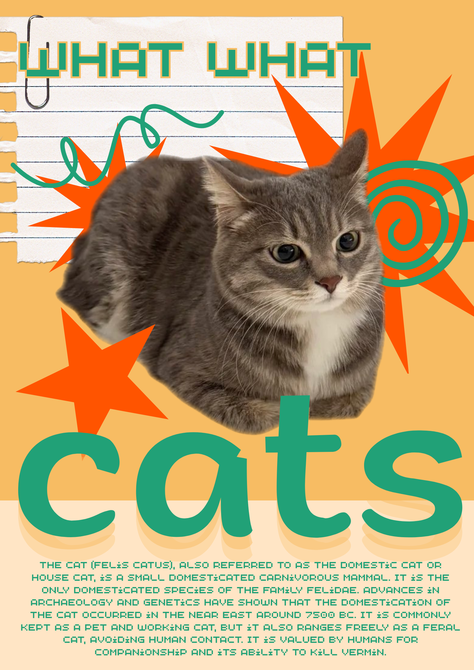 IMG_20251014_182320_434.png