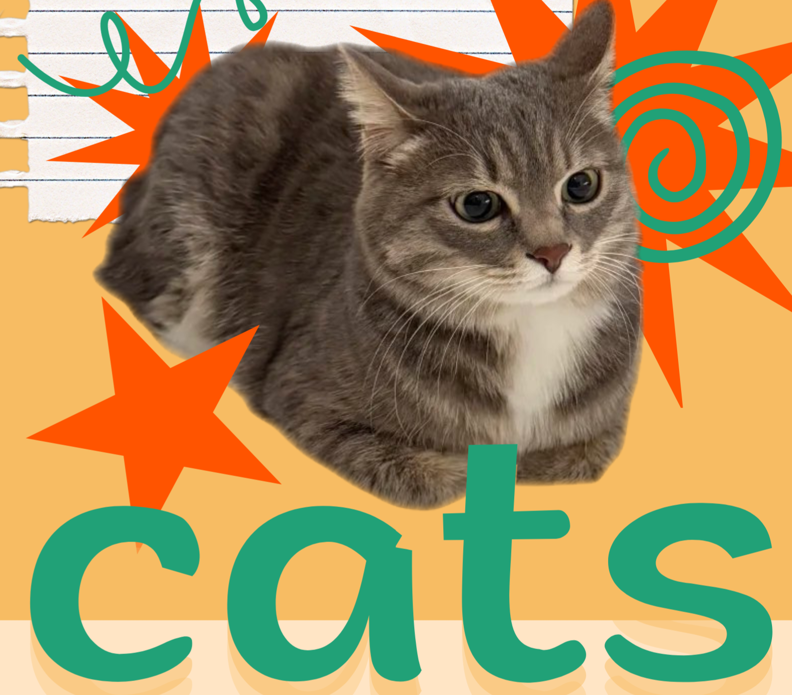 плакат для школьных занятий