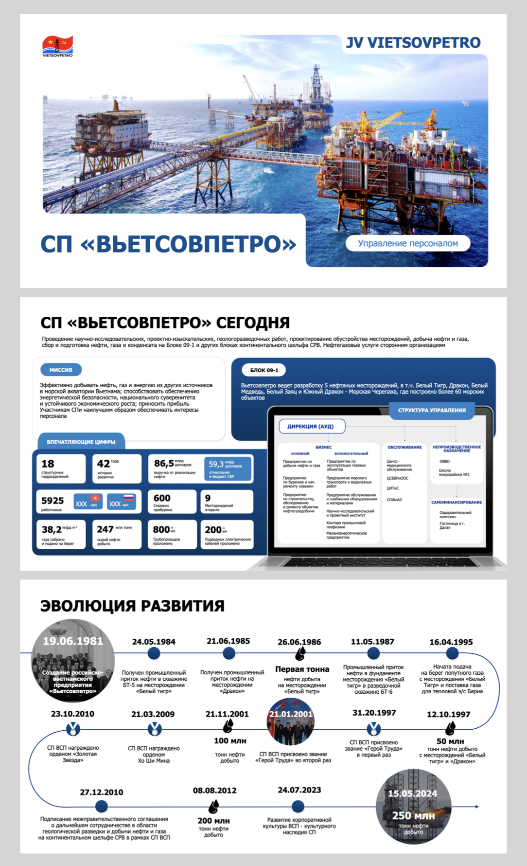 всп_верт_для портфолио.001.jpeg