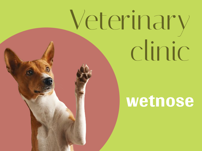 Корпоративный сайт для ветклиники wetnose