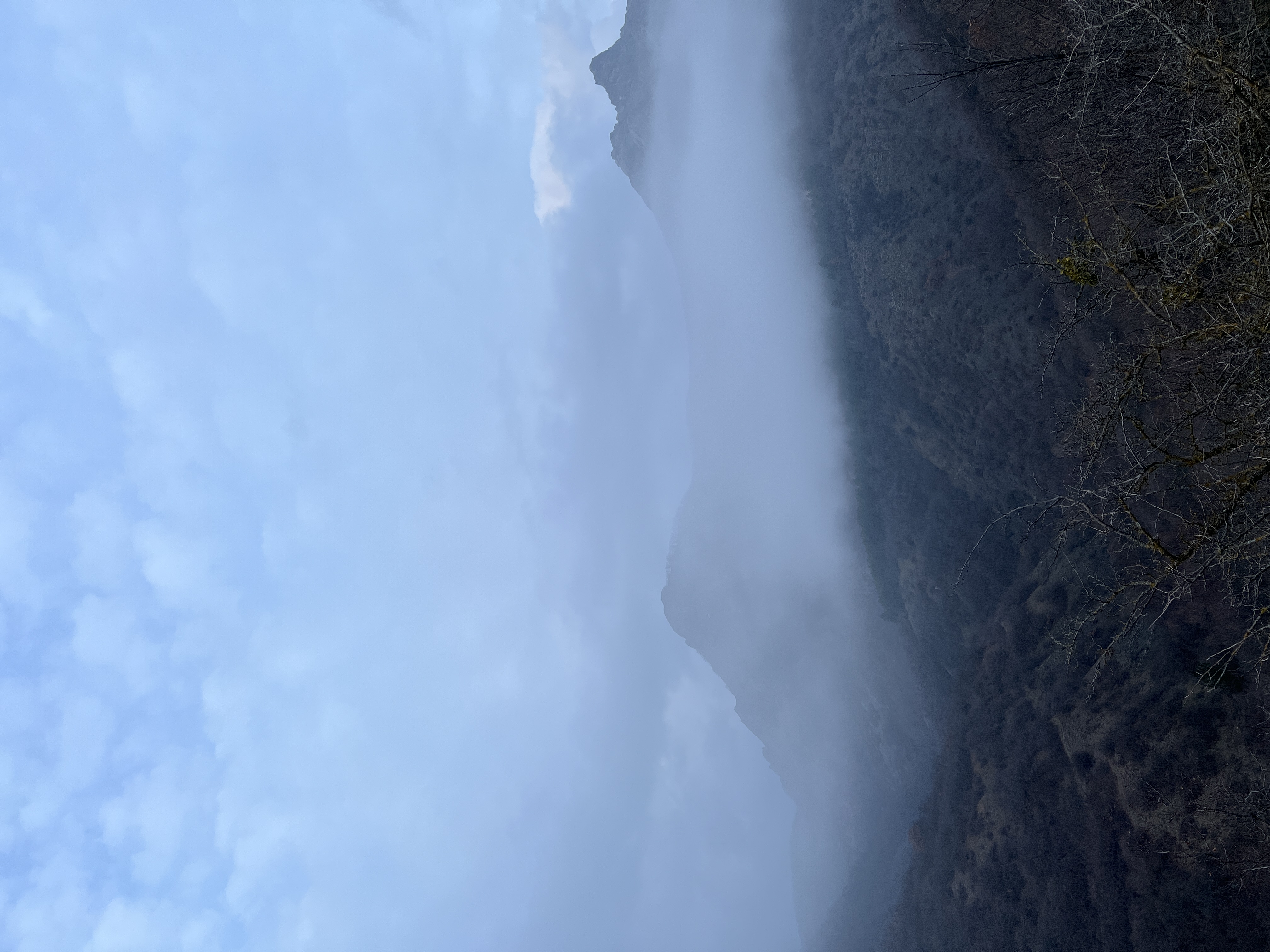 IMG_9710.jpeg