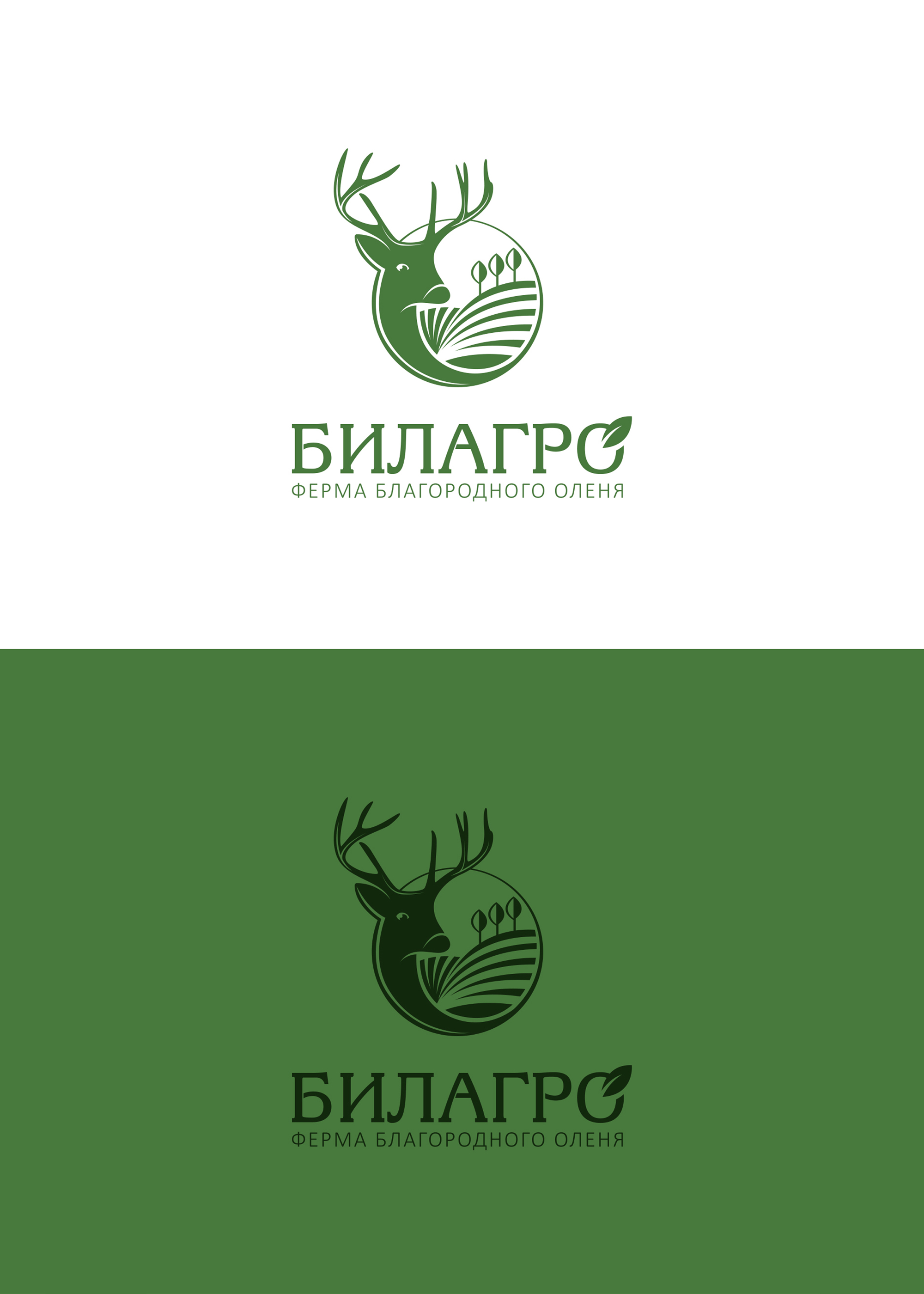 билагро 1.jpg