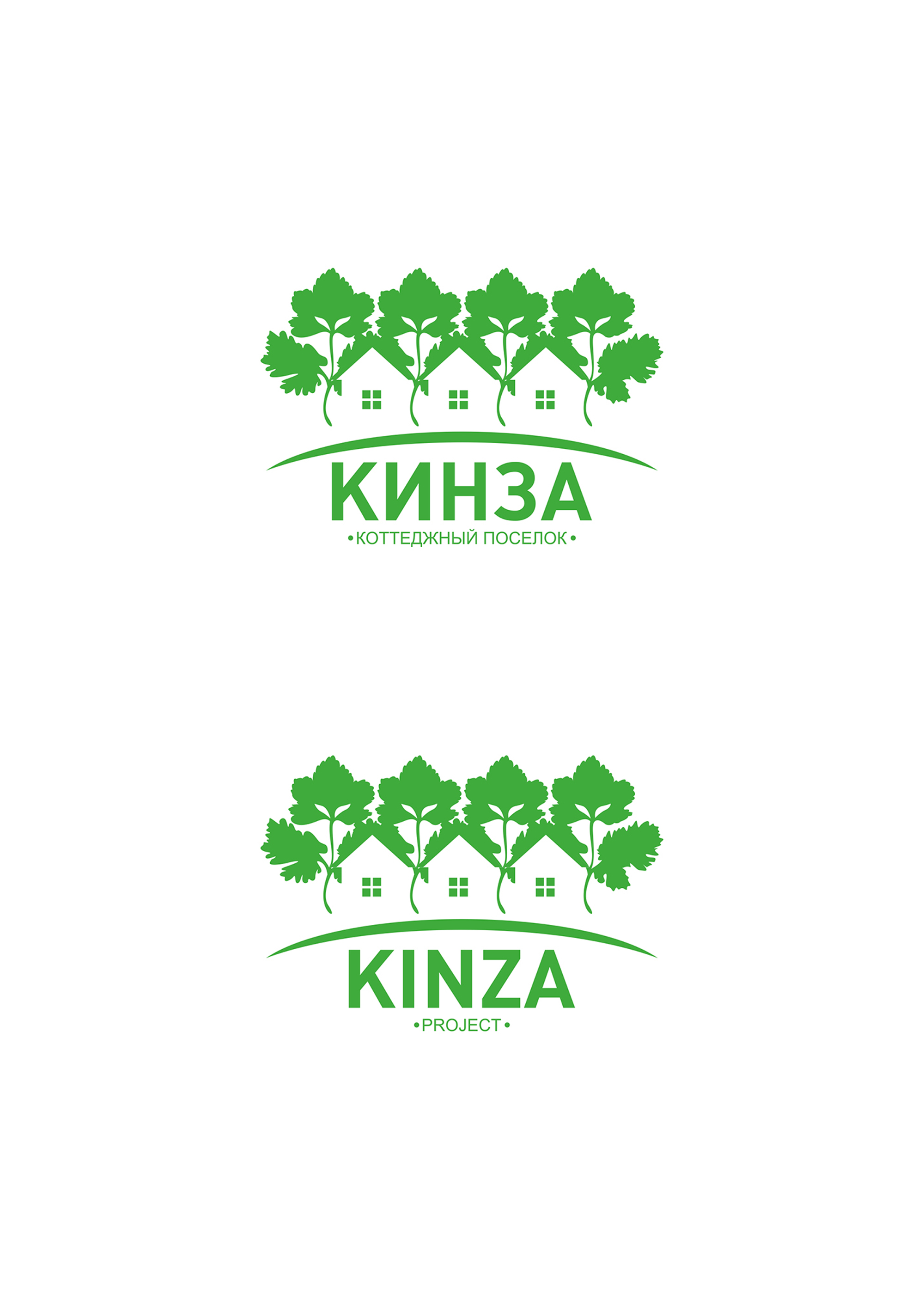 кинза.jpg