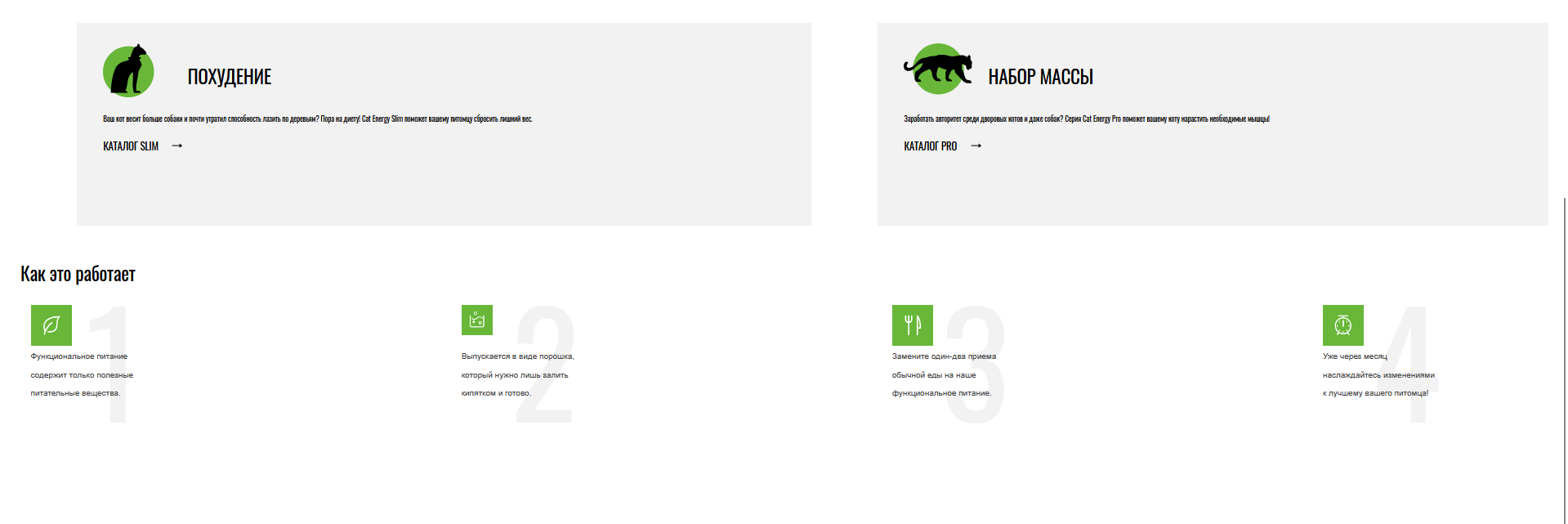 Снимок экрана 2025-10-20 122801.png