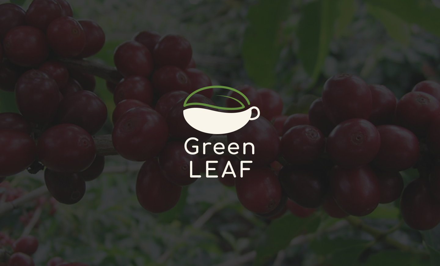 Разработка логотипа для кофейни