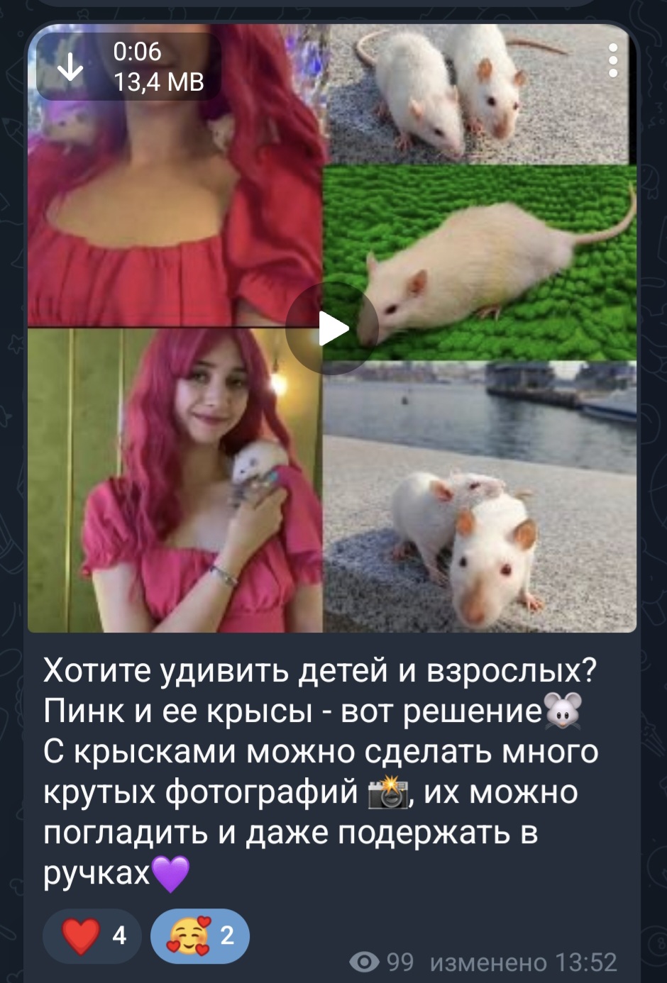 Screenshot_20251025_233131_Telegram[1].jpg