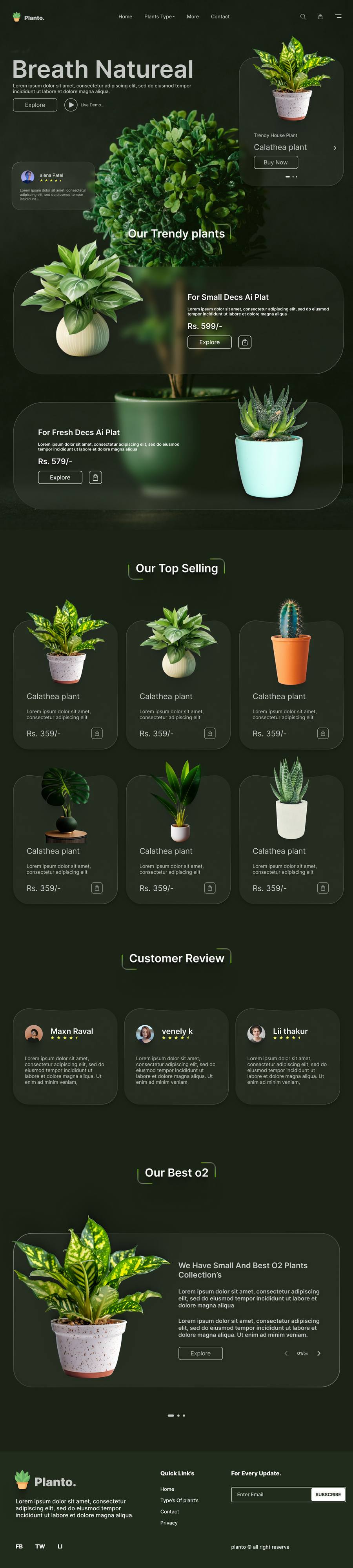 Landing page - Сайт магазина растений - 900.jpg