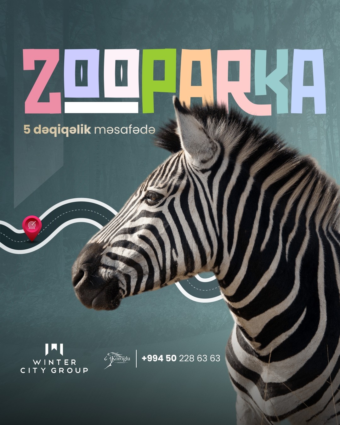 357391207_175686838819531_3858892524368037246_n_1797225113945214