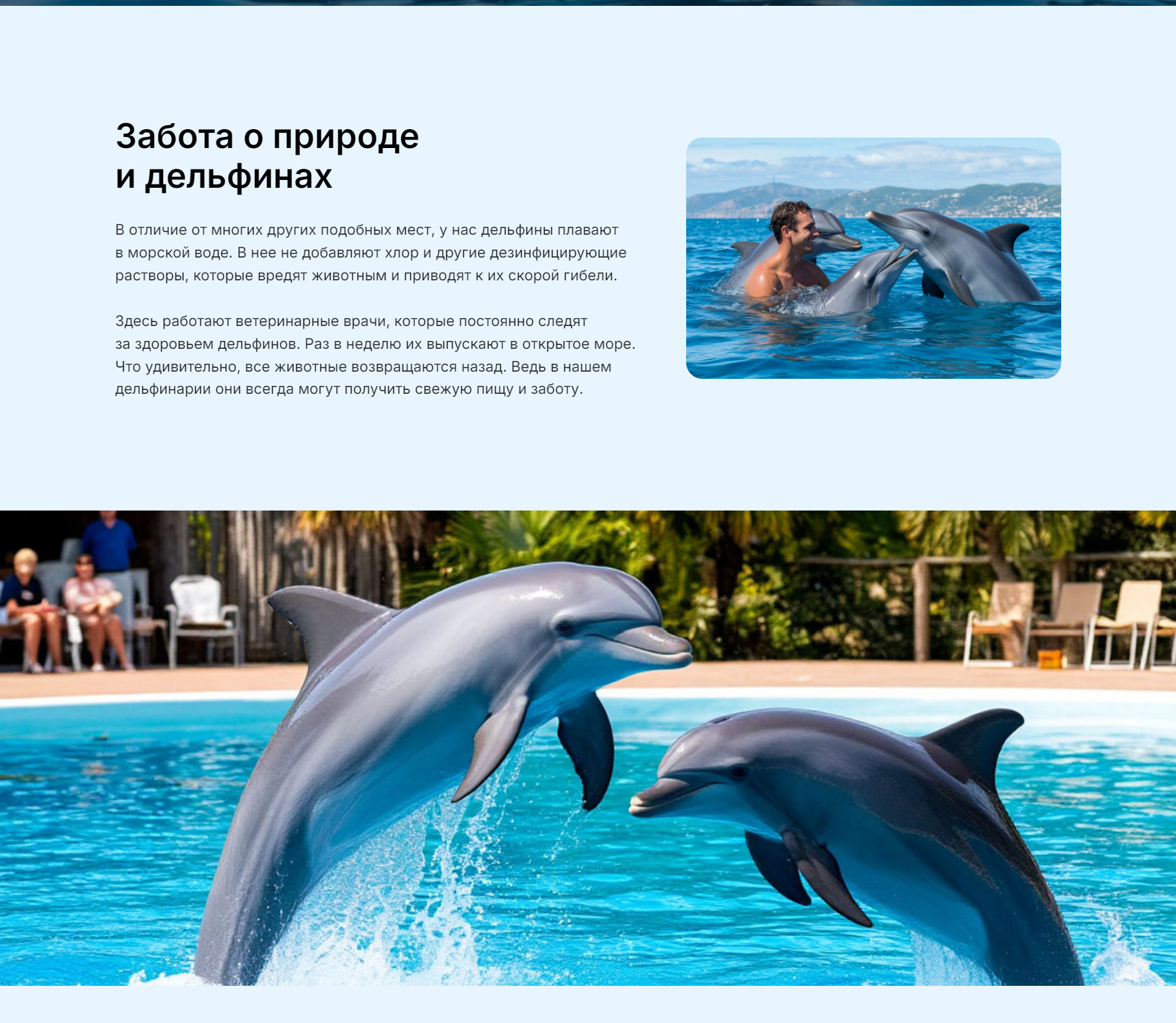 delfin-01-tilda-ws-30-10-2025 (2).jpg