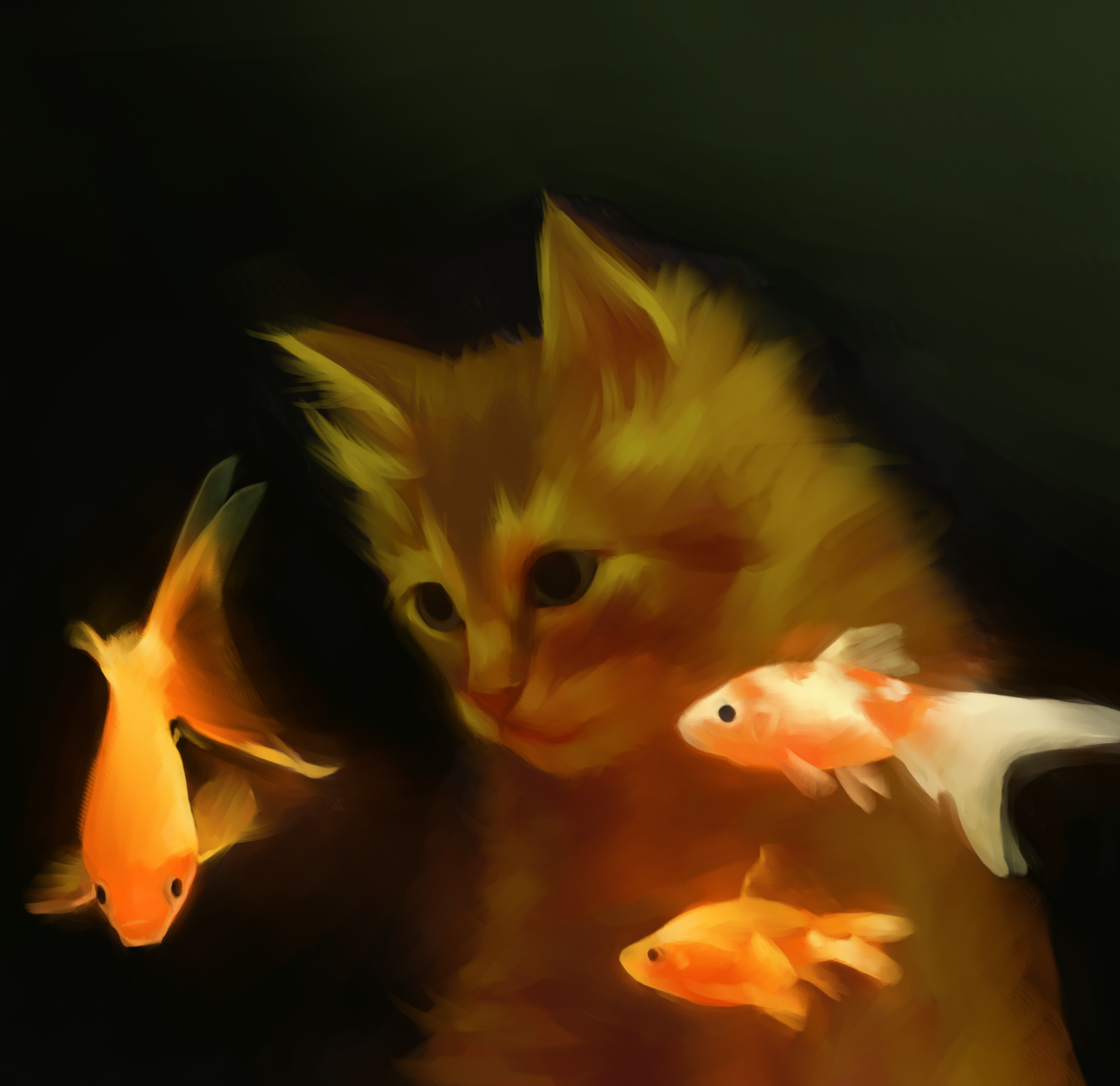 kittenfish122.png