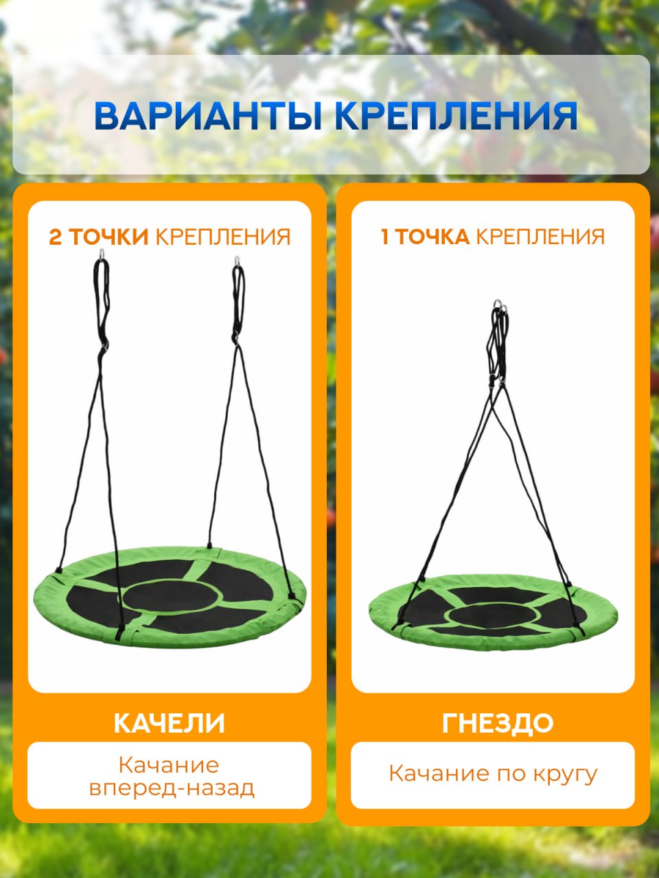 1000163719.jpg