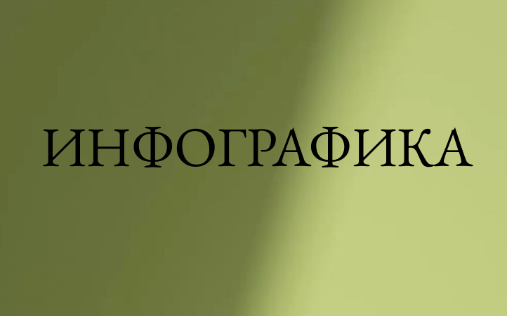Инфографика