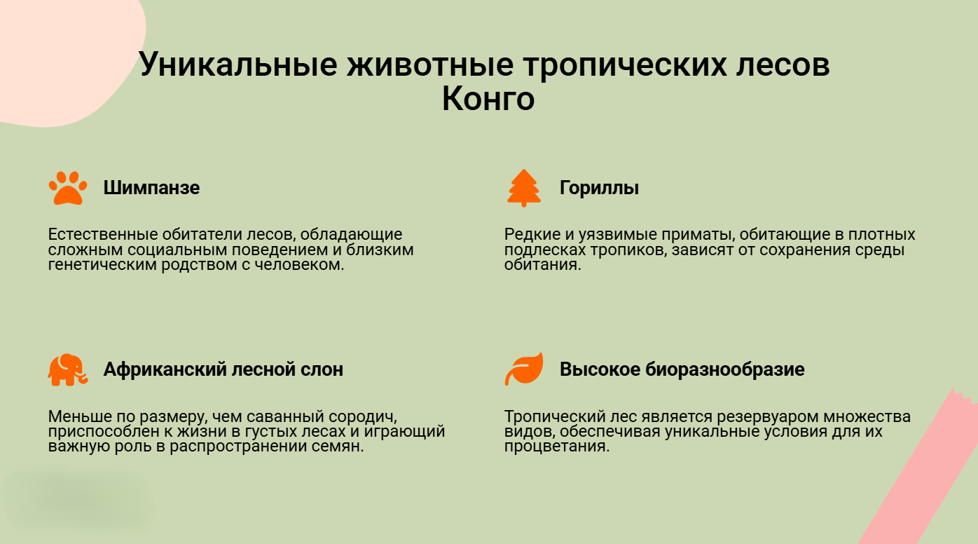 Снимок экрана 2025-09-29 194039.png