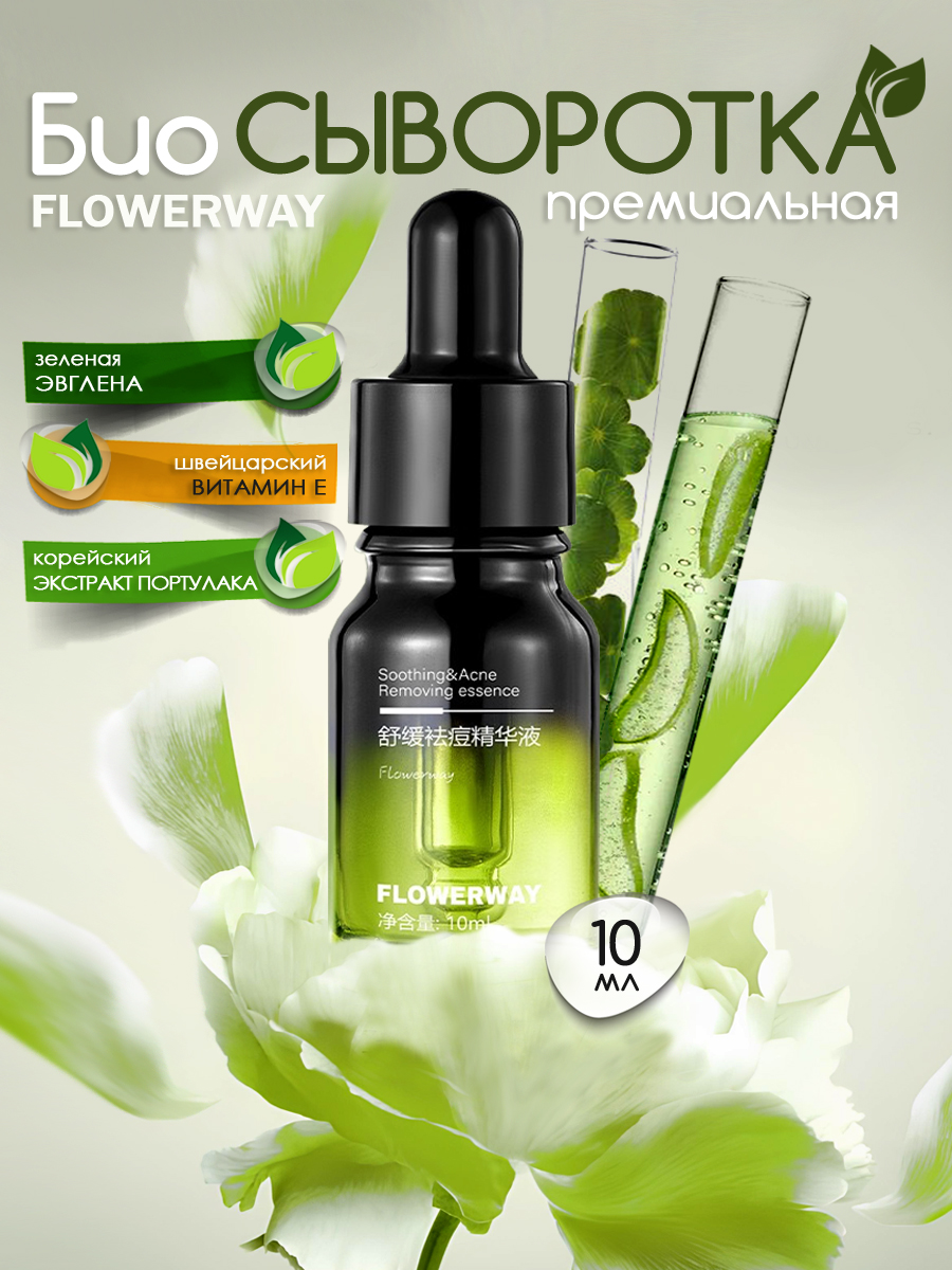 FLOWERWAY-2.jpg