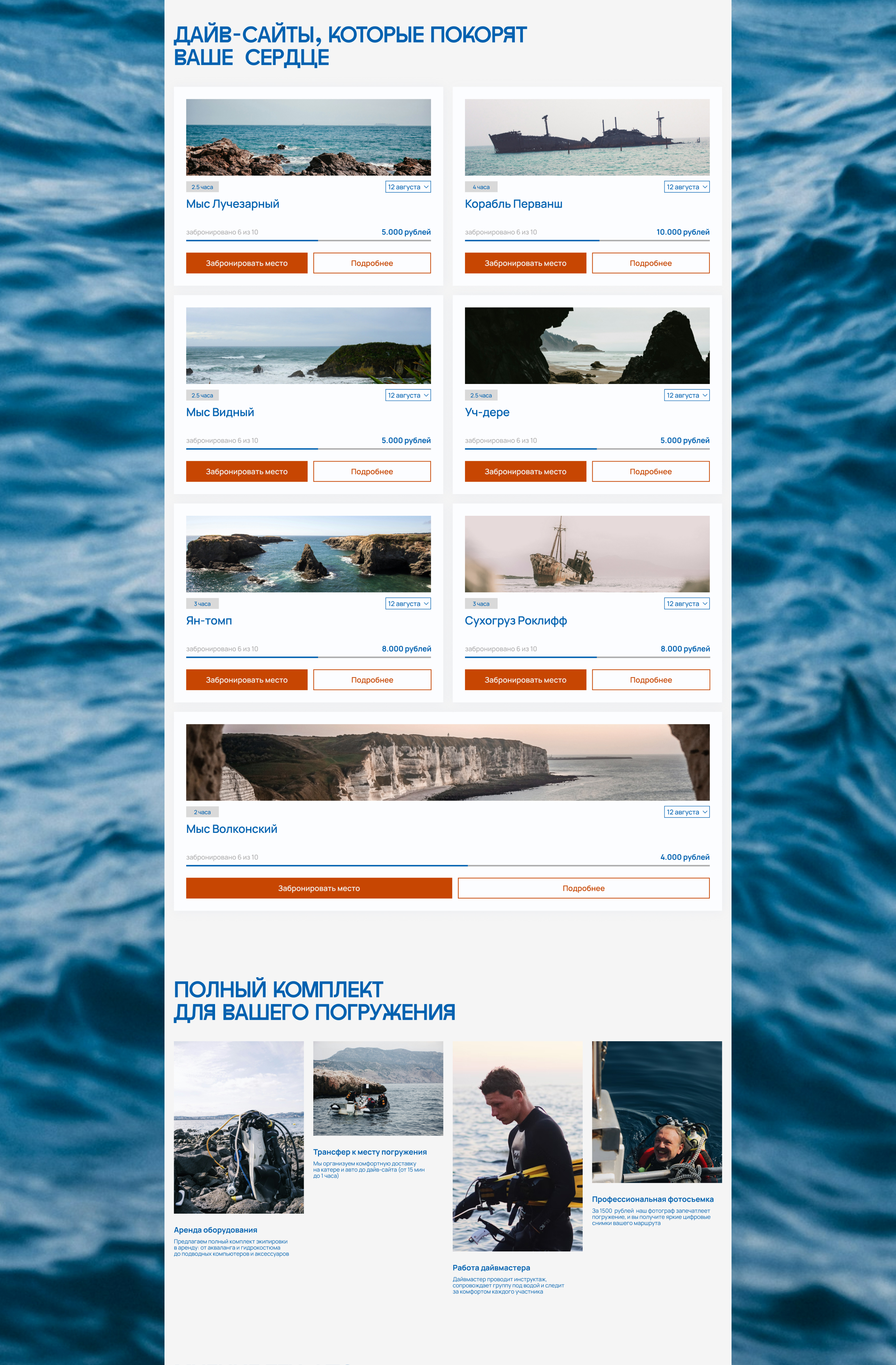 behance 6.jpg