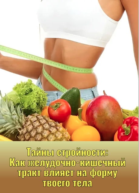 Тайны стройности: Как желудочно-кишечный тракт влияет на форму твоего тела