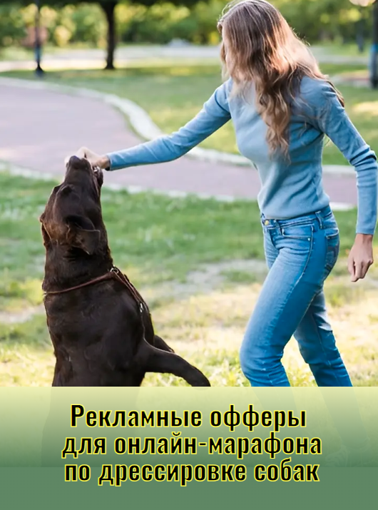 Рекламные офферы  для онлайн-марафона по дрессировке собак