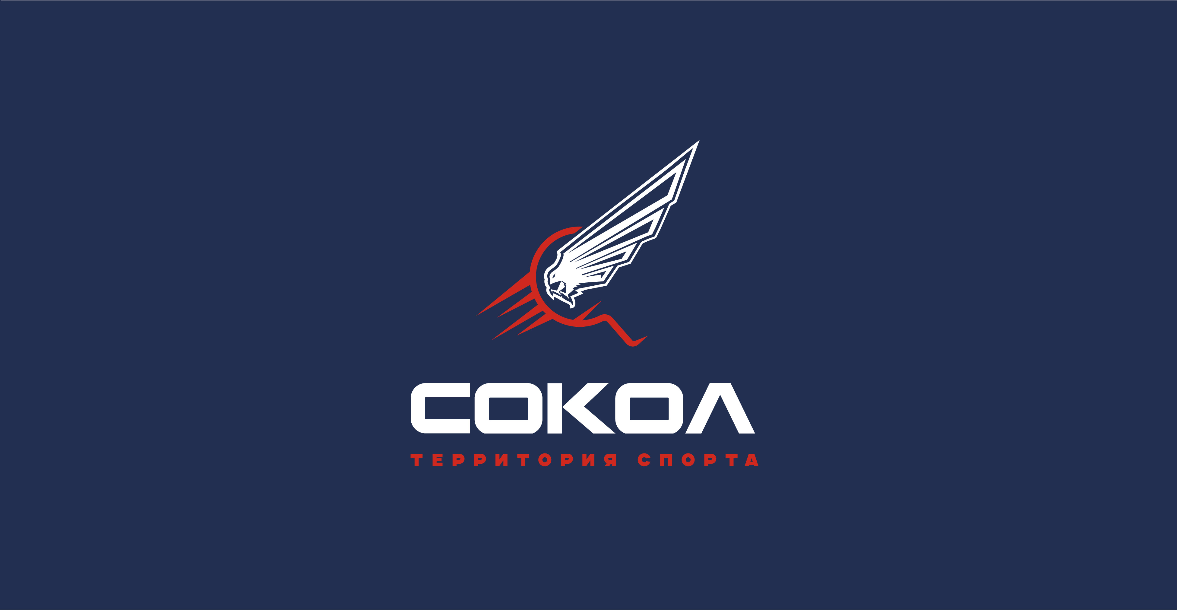 тт сокол лого-01.jpg