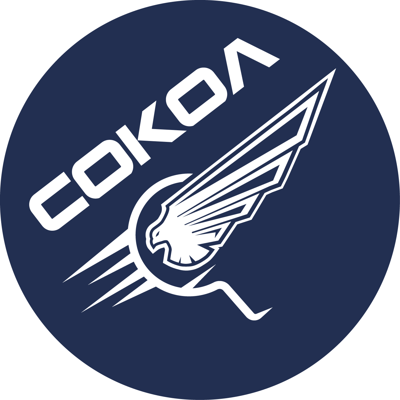 сокол лого png-06.png