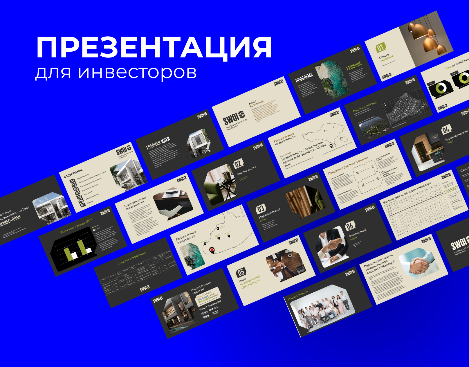 Презентация для инвесторов