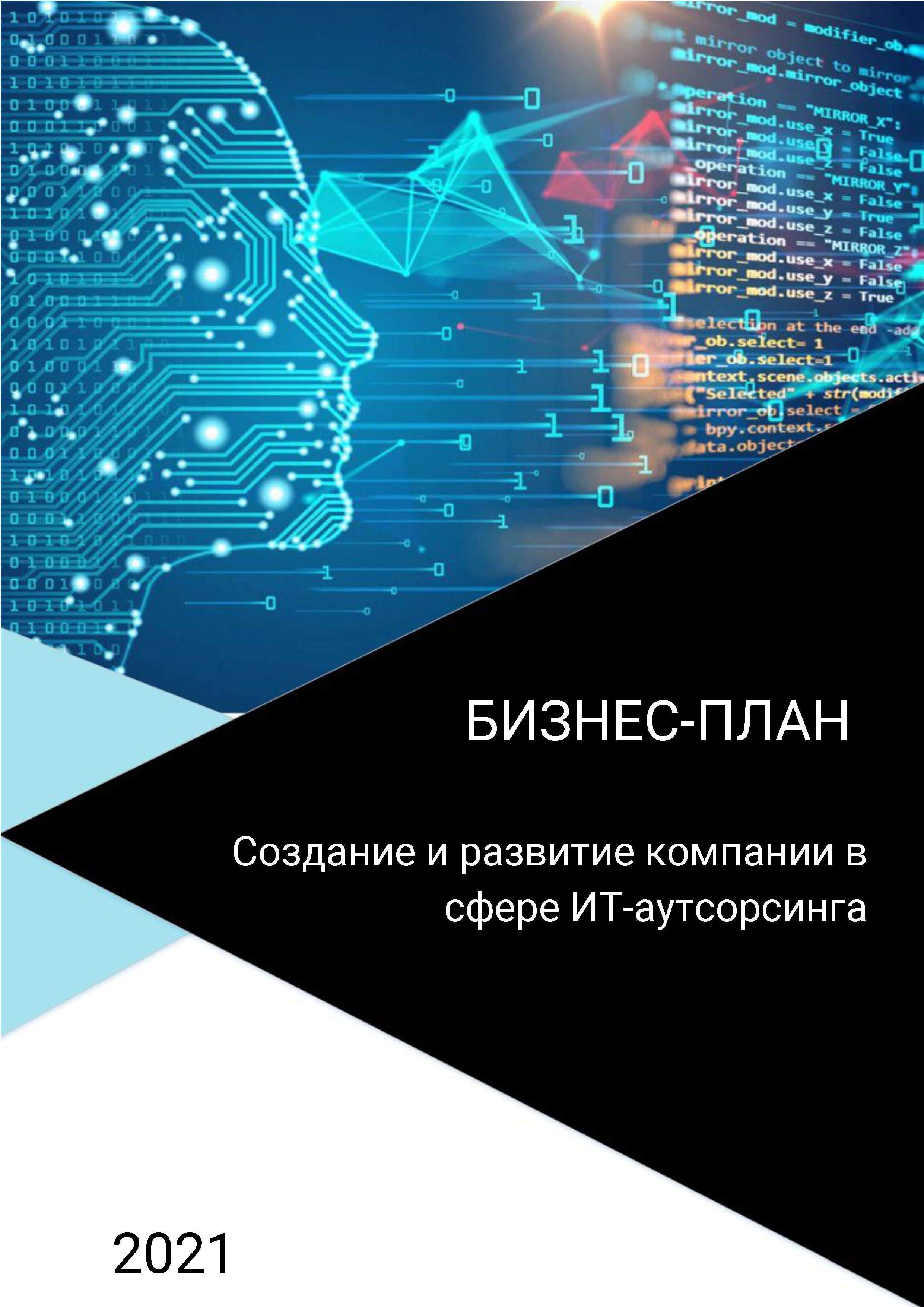 Бизнес-план компании в сфере ИТ-аутсорсинга
