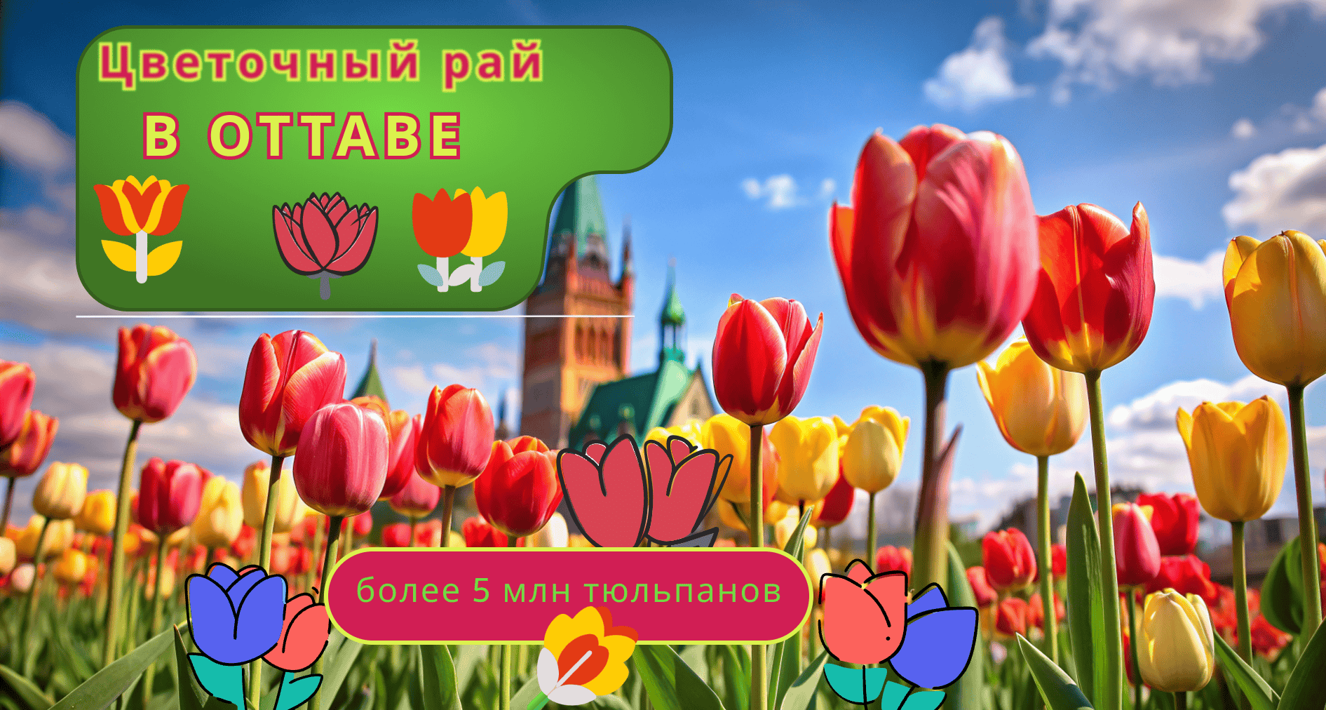 Цветочный рай в Оттаве (1).png