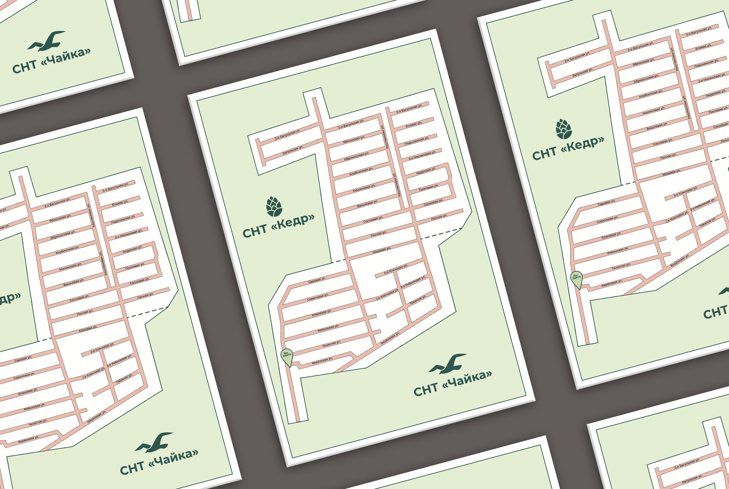 схема снт.jpg