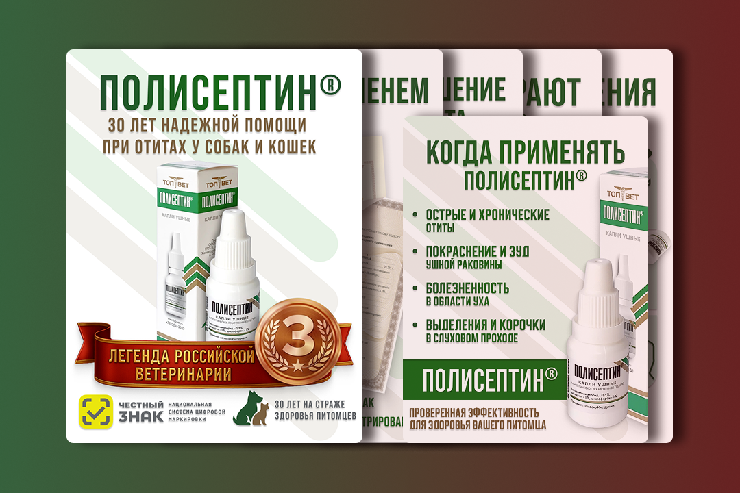 Инфографика для препарата «ПОЛИСЕПТИН®» — легендарного ветеринарного средства от компании «ТопВет»