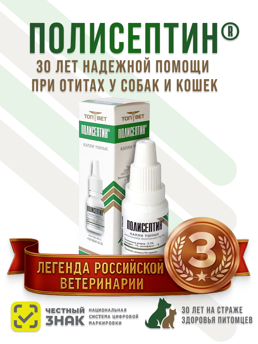 Слайд 1_ Главный баннер.png