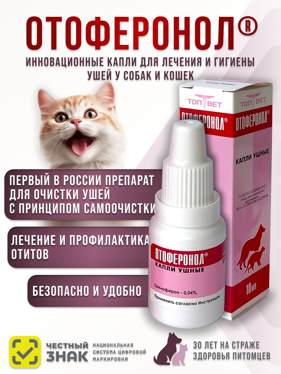 Слайд 1_ Титульный.png