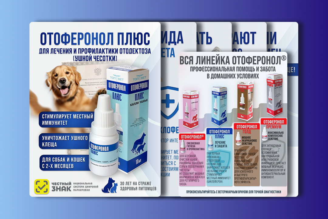 Инфографика для капель «Отоферонол плюс®» — серия визуальных слайдов для бренда «ТопВет»