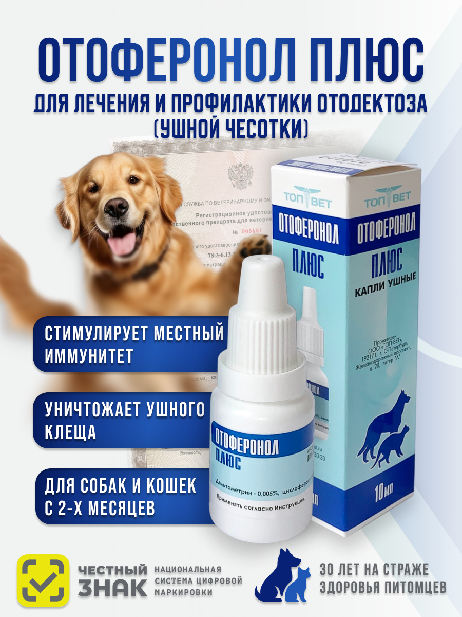 Слайд 1_ Главный экран.png