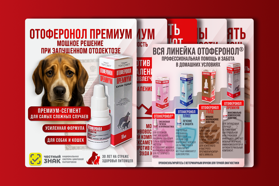 Инфографика для капель «Отоферонол премиум®» — серия визуальных слайдов для бренда «ТопВет»