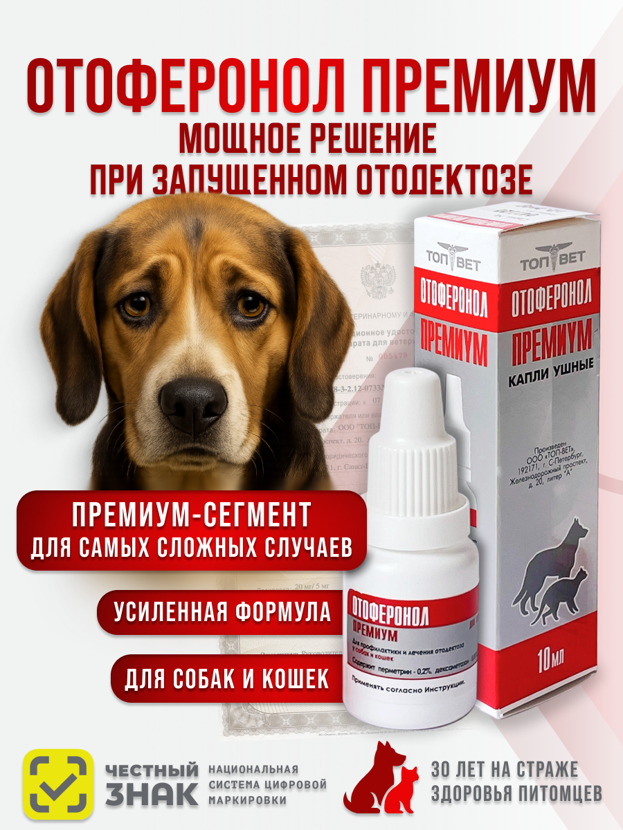 Слайд 1_ Главный экран.png