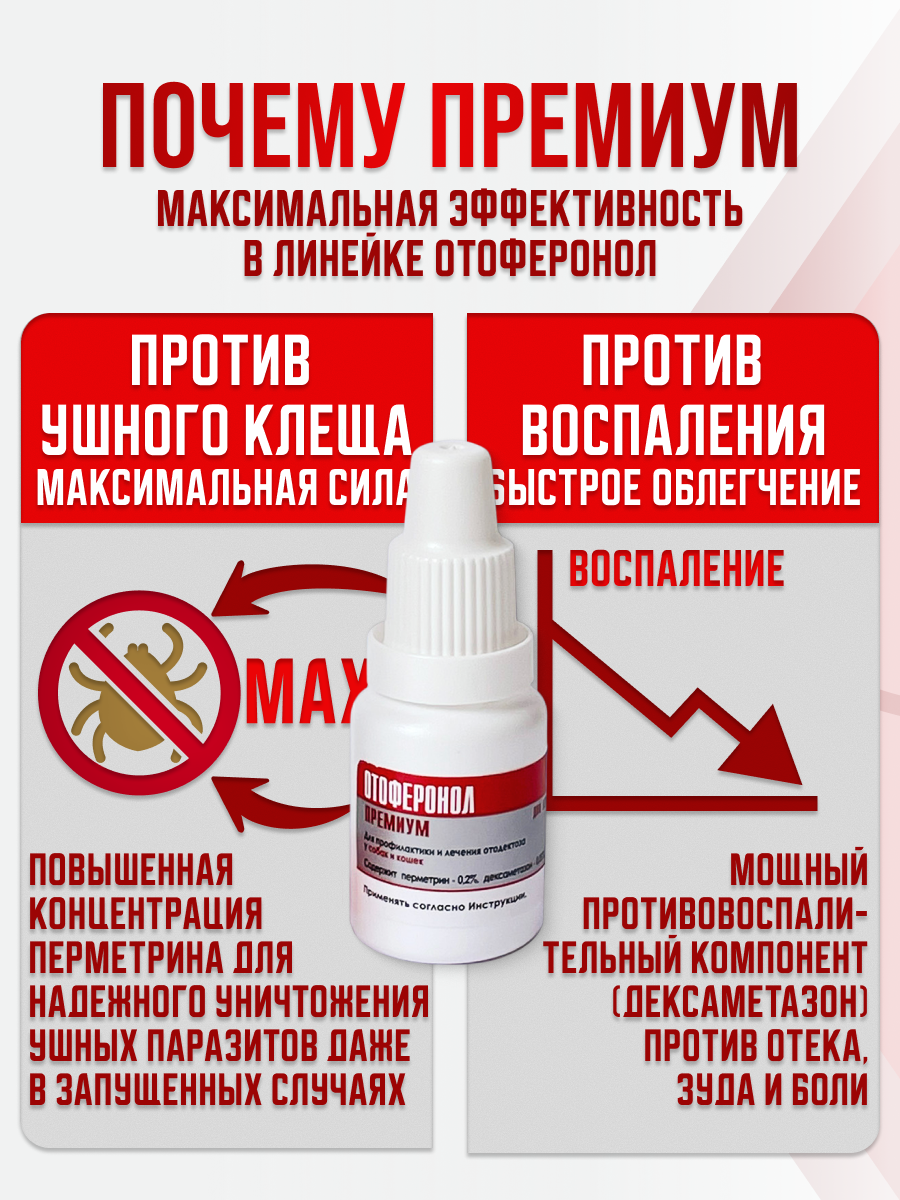 Слайд 2_ Премиум.png