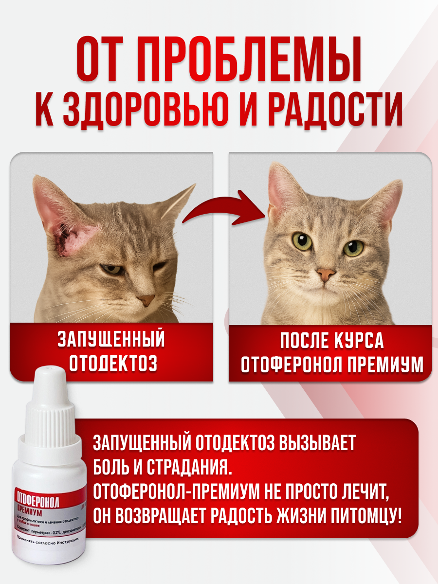 Слайд 4_ Результат.png