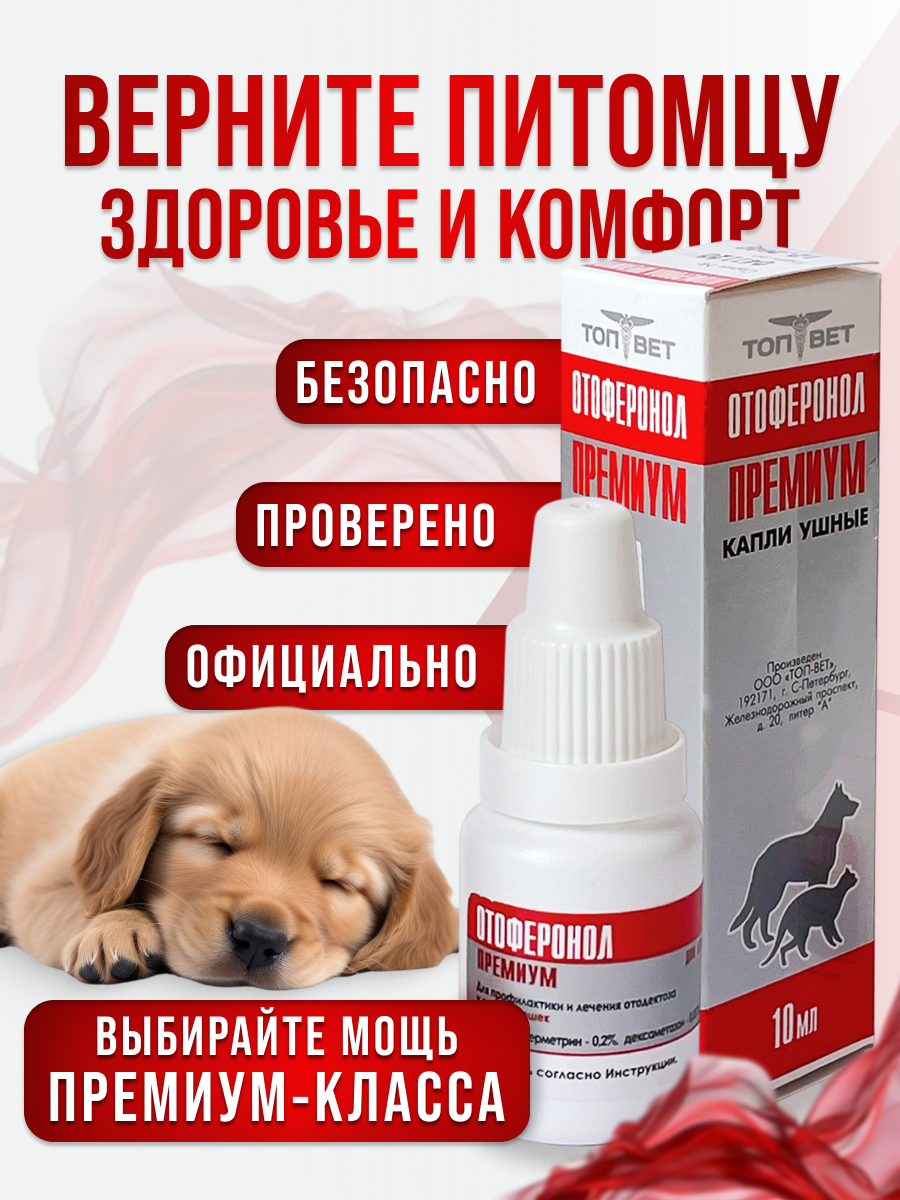 Слайд 6_ Призыв к действию.png