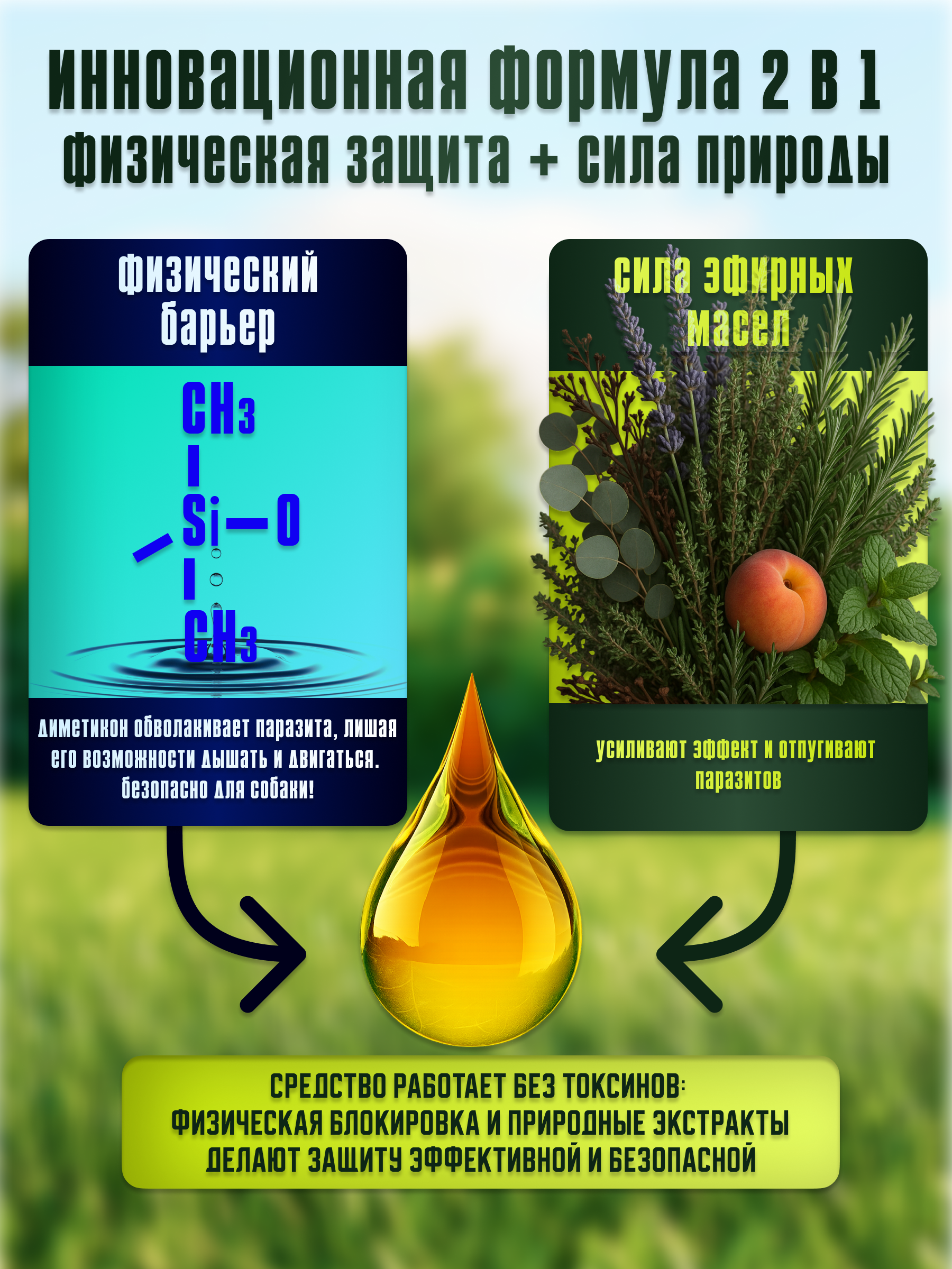 Слайд 2_ Мощная Формула Двойного Действия.png