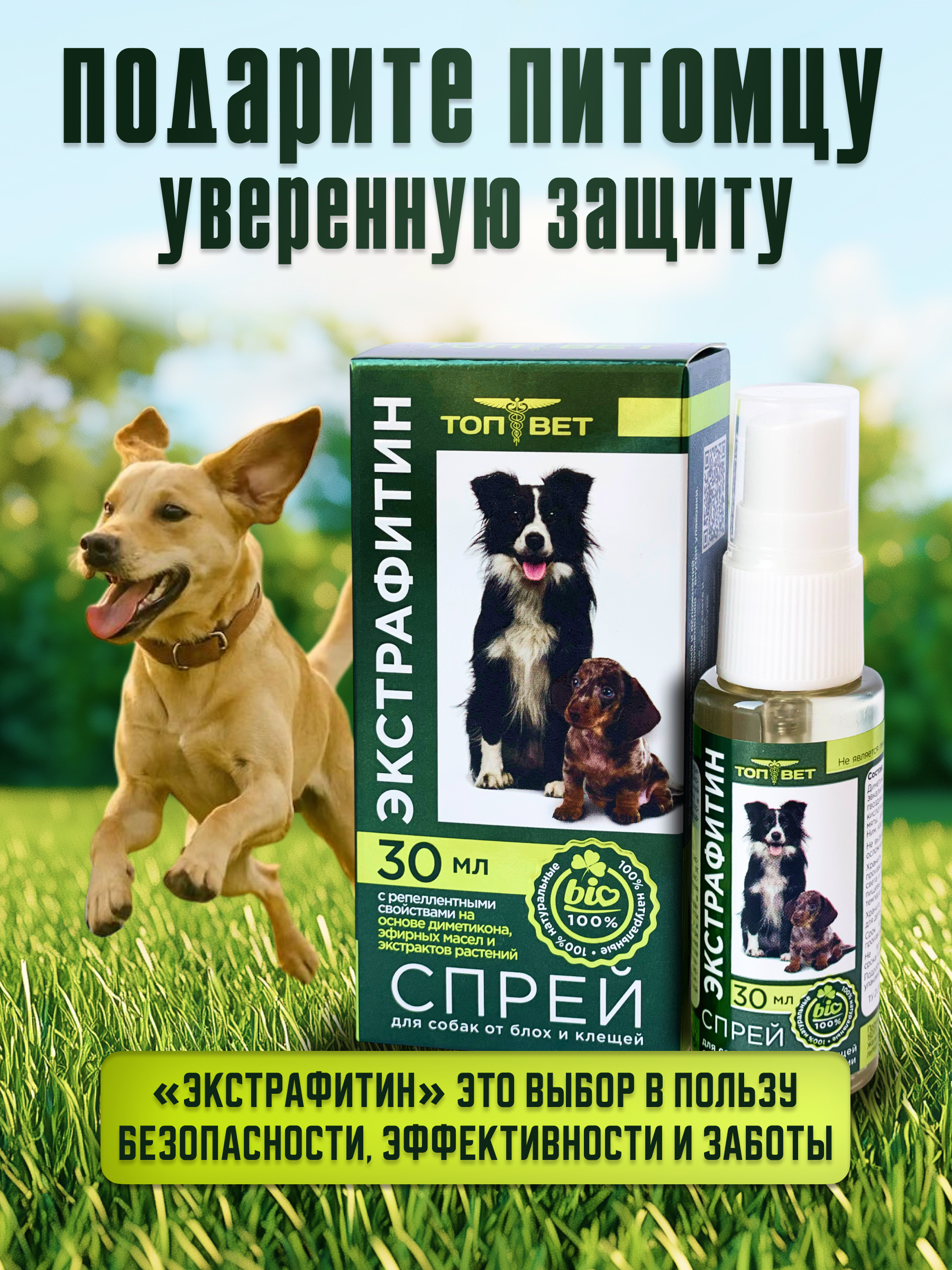 Слайд 5_ Призыв к действию и Комплектация.png
