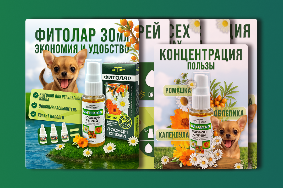 Инфографика для спрея «Фитолар» — визуальный бренд-пакет из 5 слайдов для компании «ТопВет»
