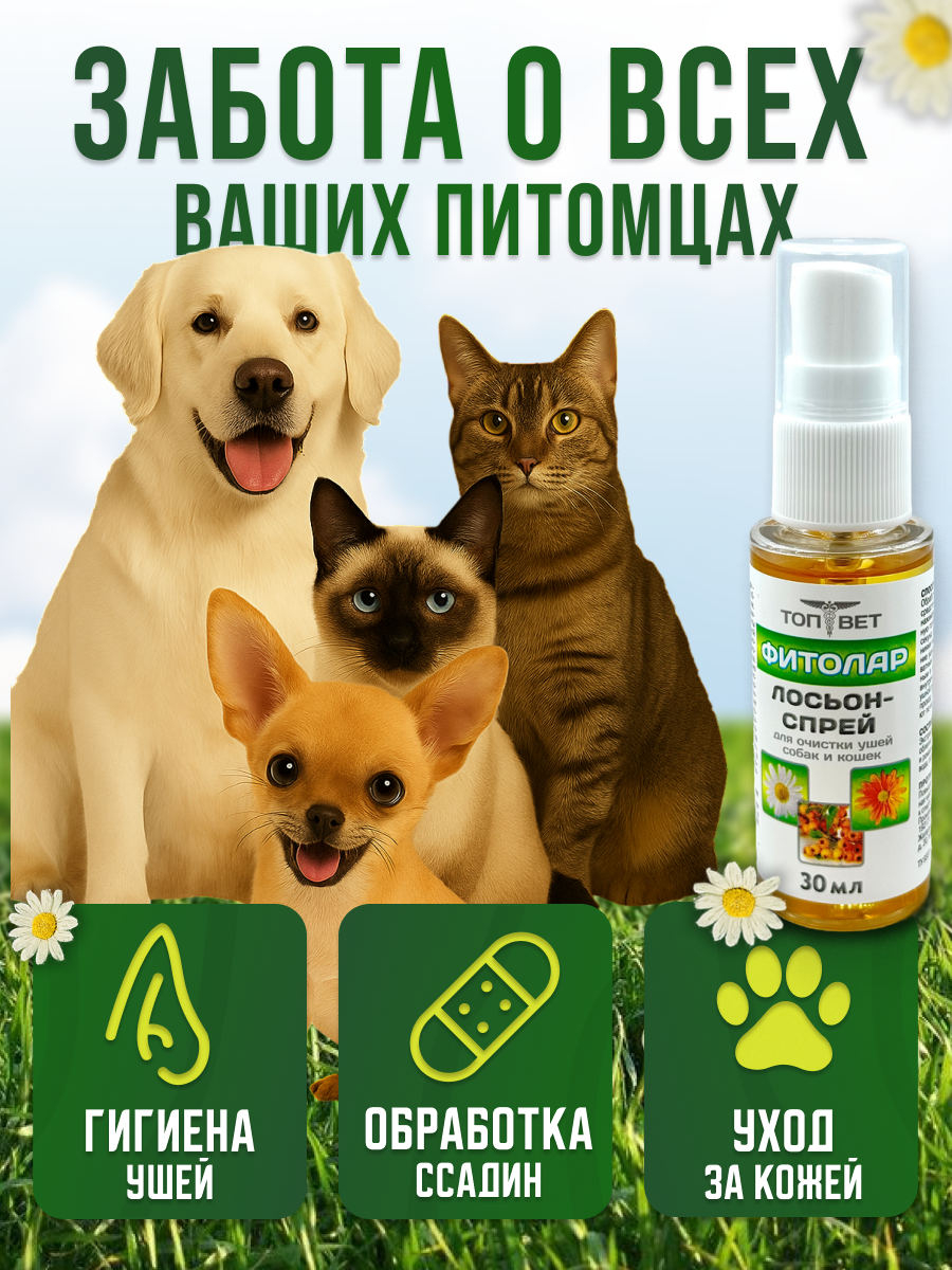 СЛАЙД 3_ ПРИМЕНЕНИЕ.png