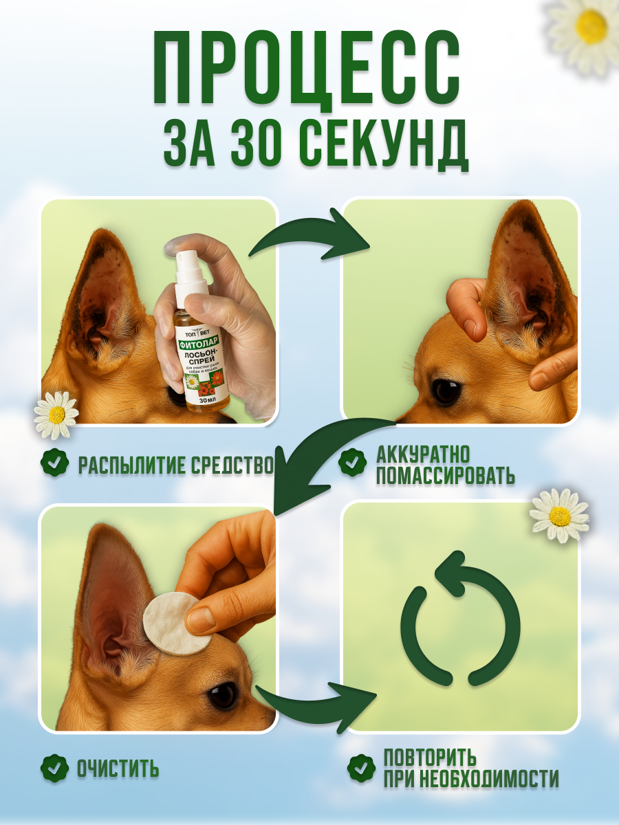 СЛАЙД 4_ ИНСТРУКЦИЯ.png