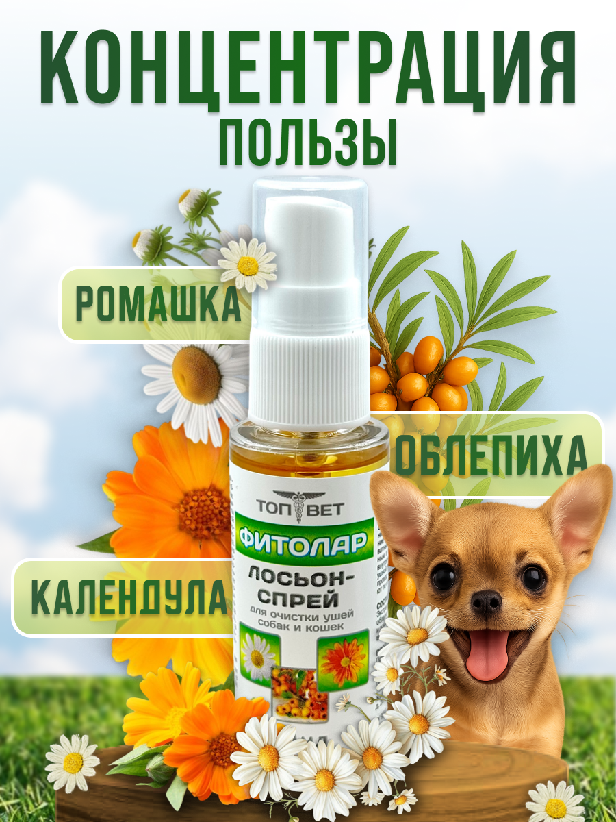 СЛАЙД 5_ СОСТАВ И КАЧЕСТВО.png