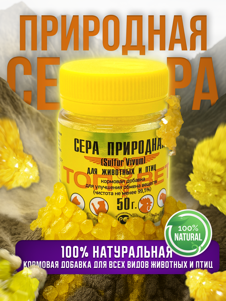 Слайд 1_ Титульный.png