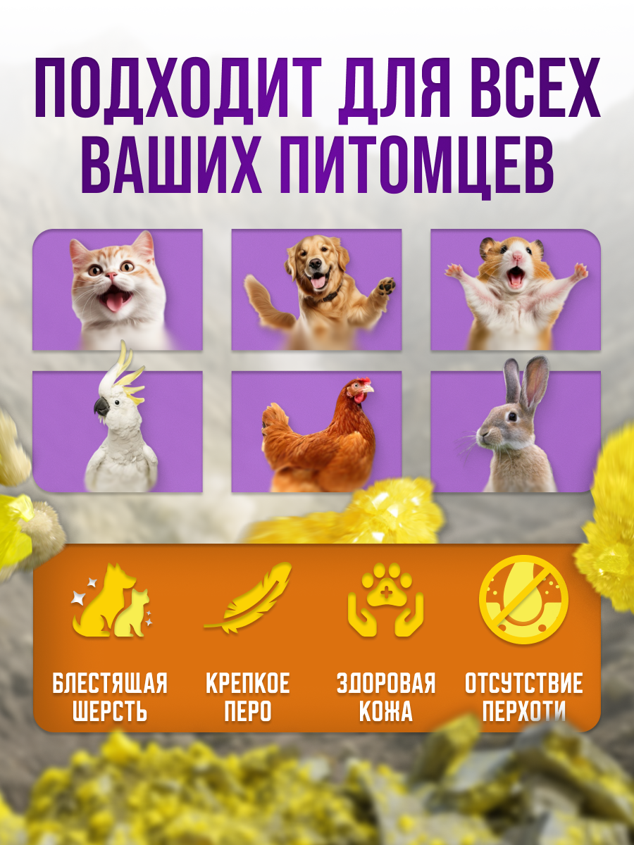 Слайд 2_ Универсальность и польза.png