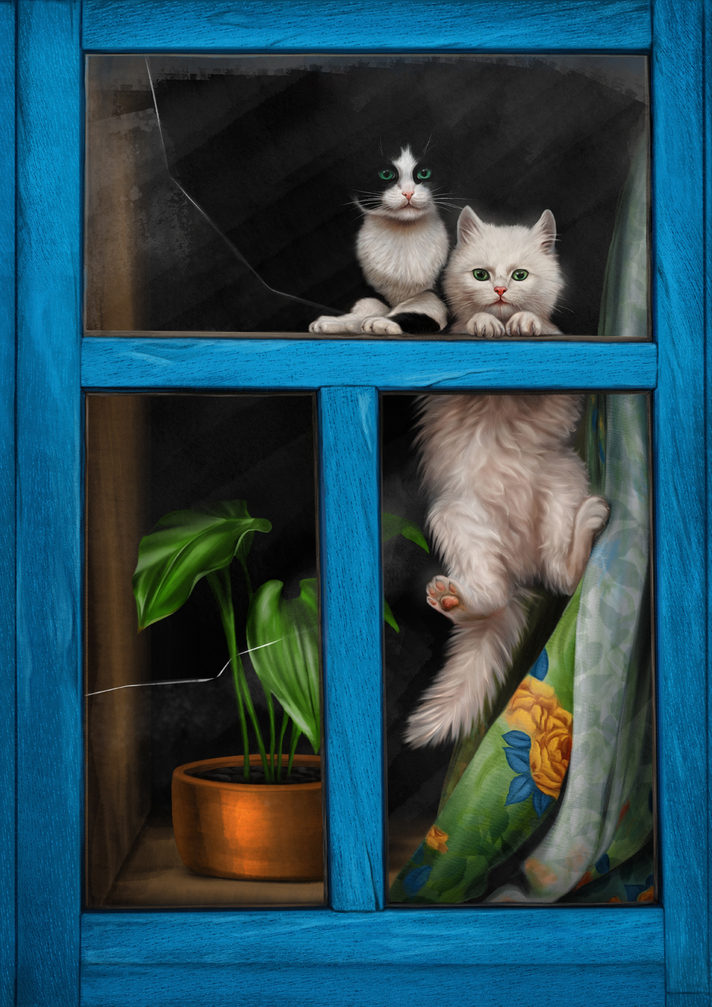 Котята в окне.jpg