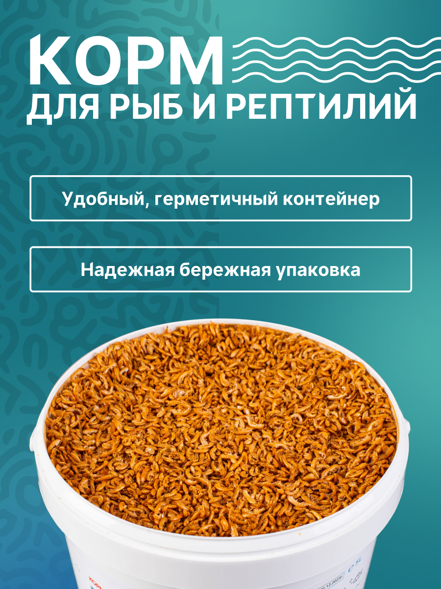 Ozon 3_4 5.png